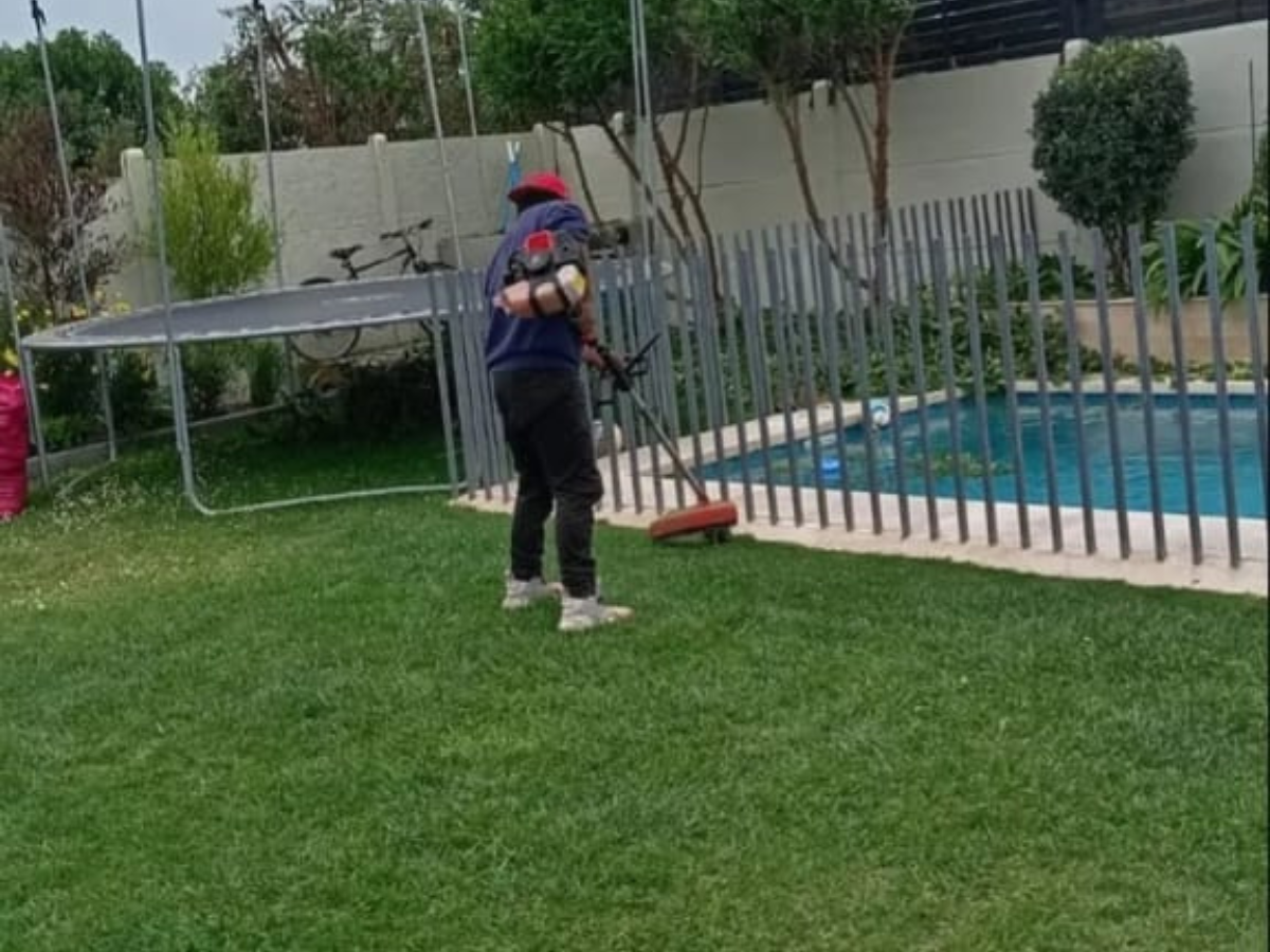 Cuidado de áreas verdes GreenPer
