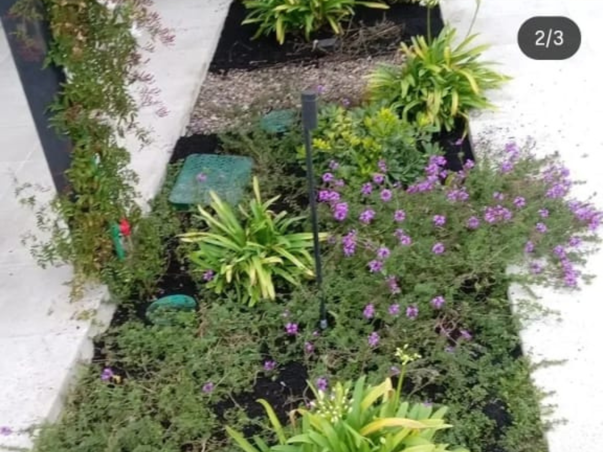 Jardinería y cuidado GreenPer
