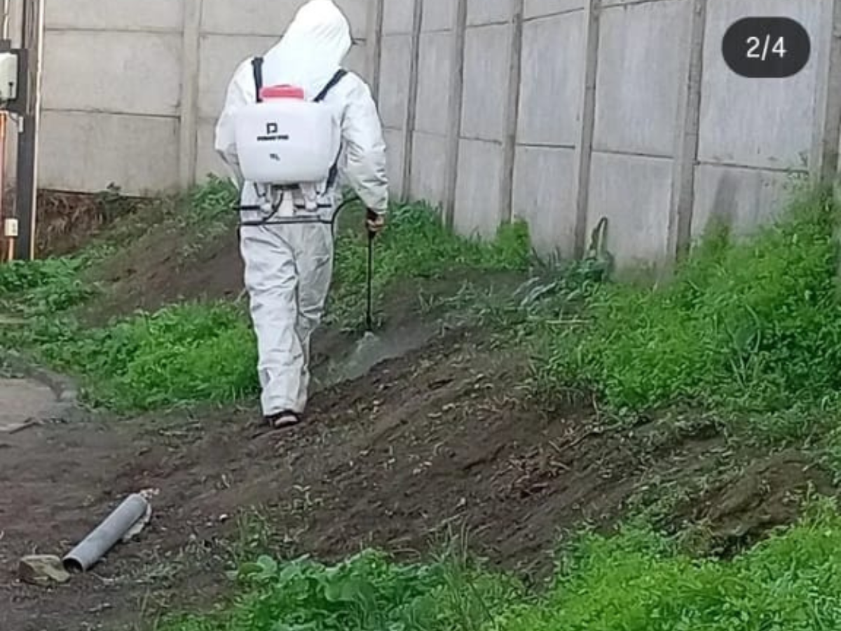 Mantención de jardines GreenPer